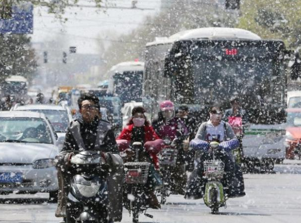 保定消防工程公司：楊絮紛飛除了防病，更要防火